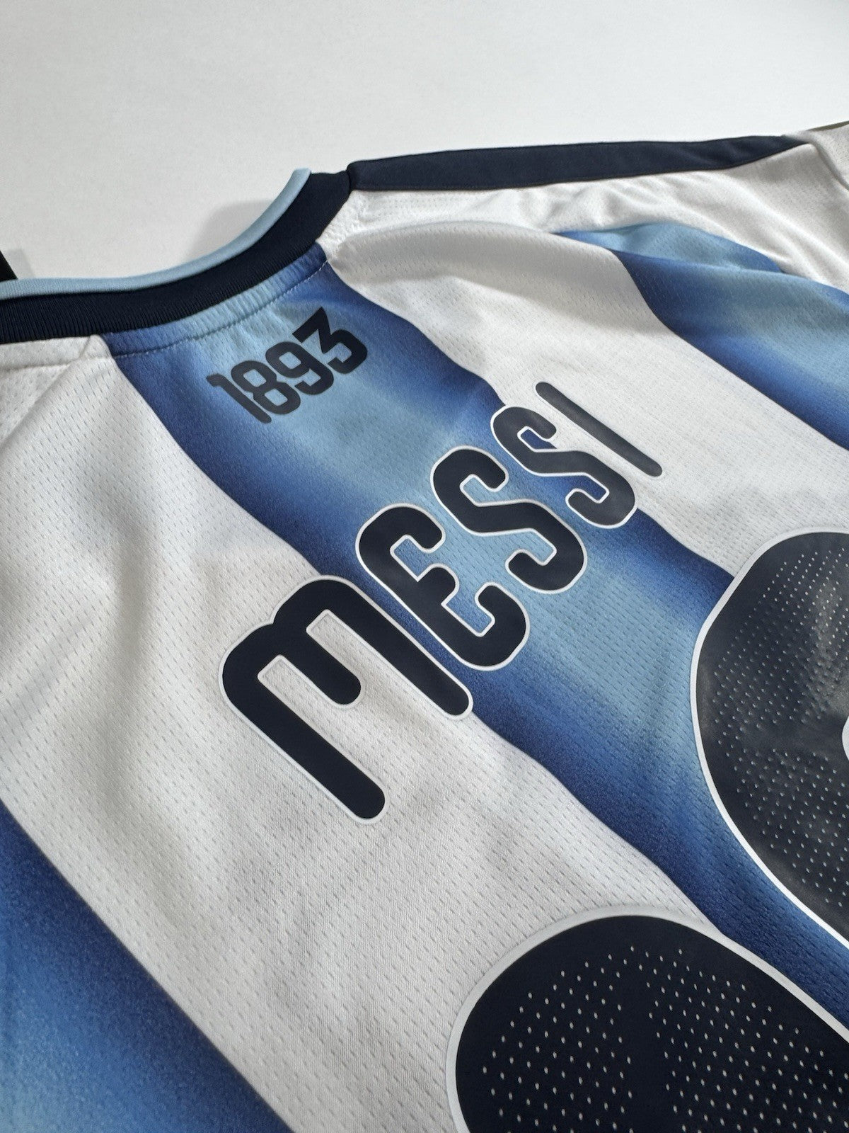 Argentina Lionel Messi FAN Version Match Detail vs Egypt Jersey Size L NWT