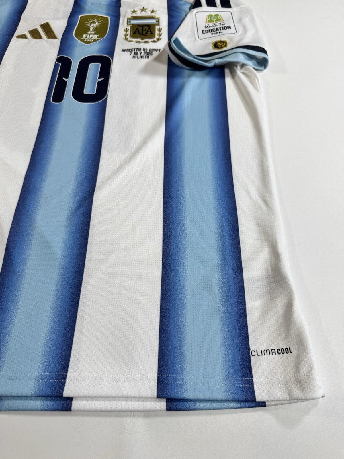Argentina Lionel Messi FAN Version Match Detail vs Egypt Jersey Size L NWT
