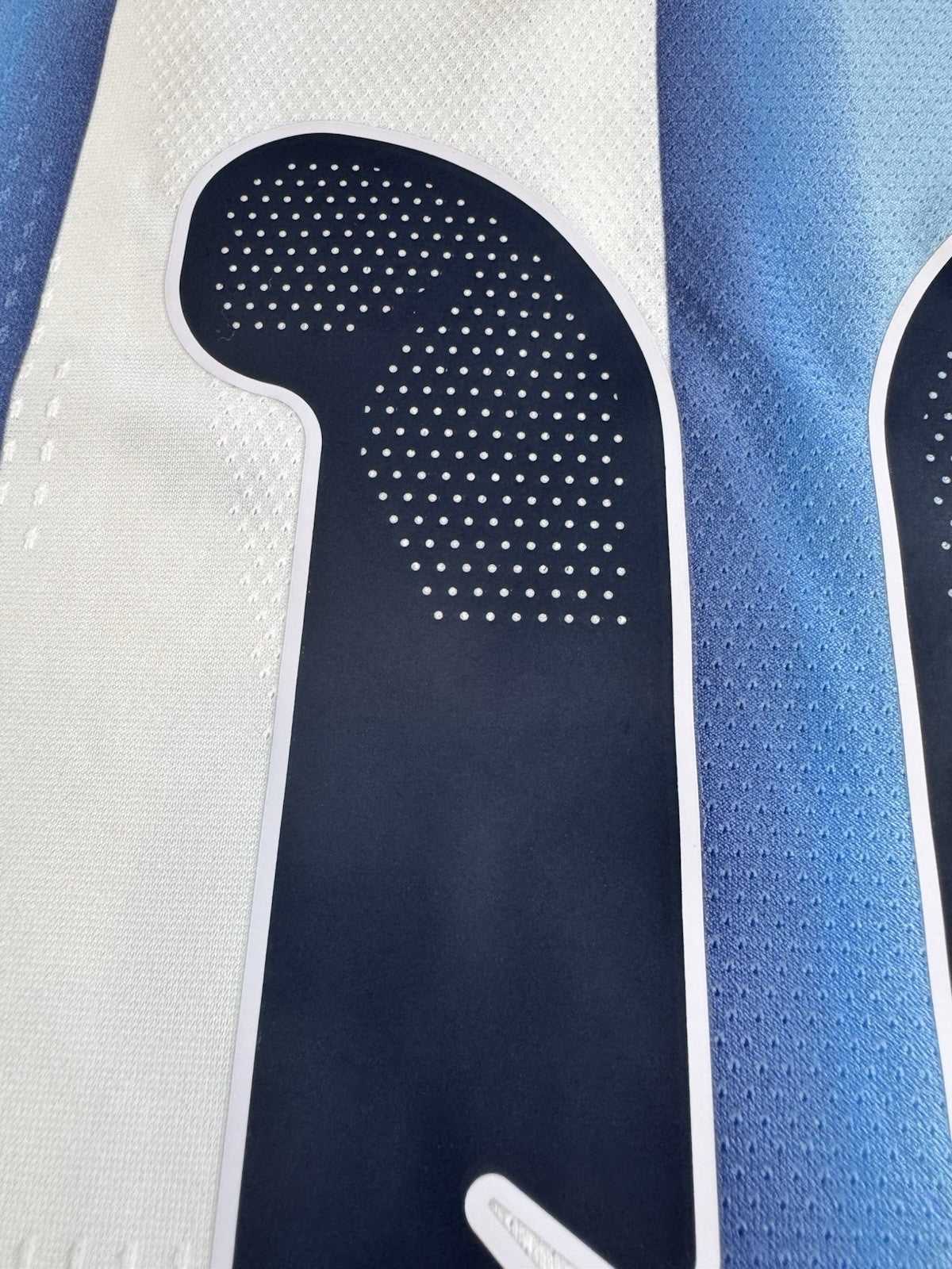 Argentina Lionel Messi Player Version Match Detail vs Egypt Jersey Size L NWT