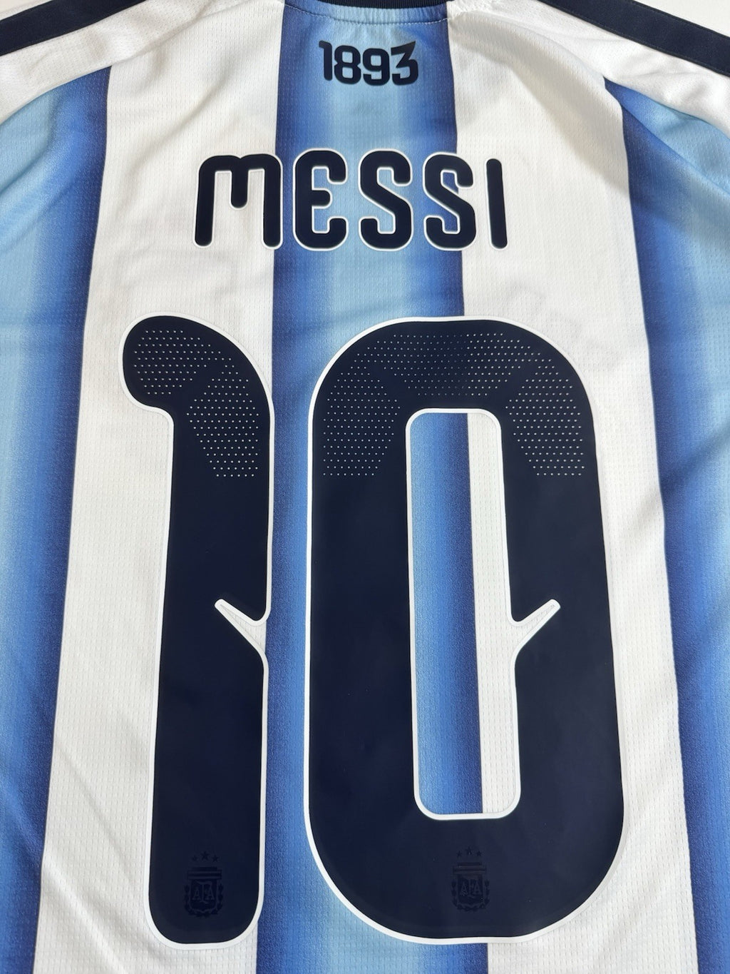Argentina Lionel Messi FAN Version Match Detail vs Egypt Jersey Size L NWT