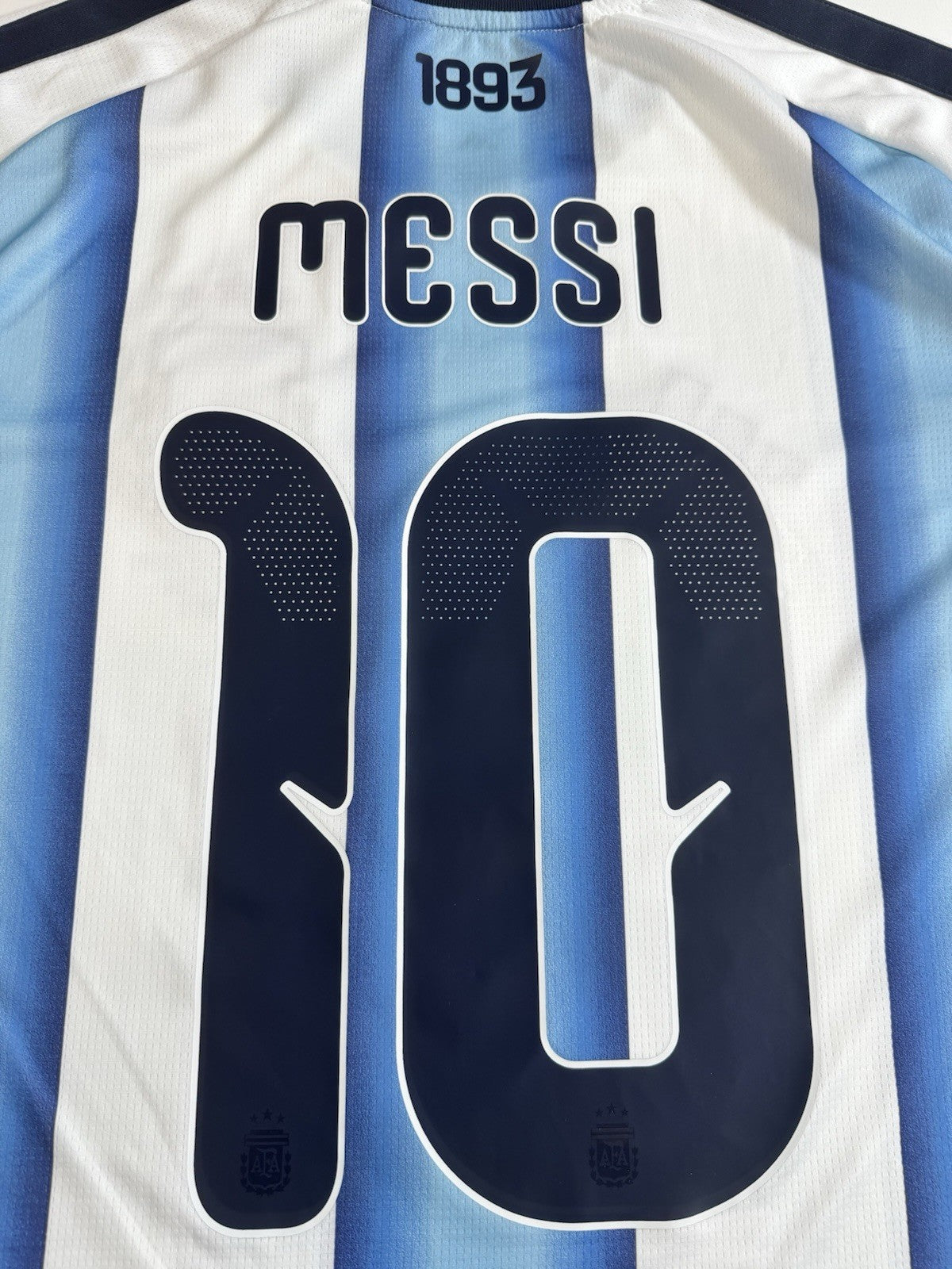 Argentina Lionel Messi FAN Version Match Detail vs Egypt Jersey Size L NWT