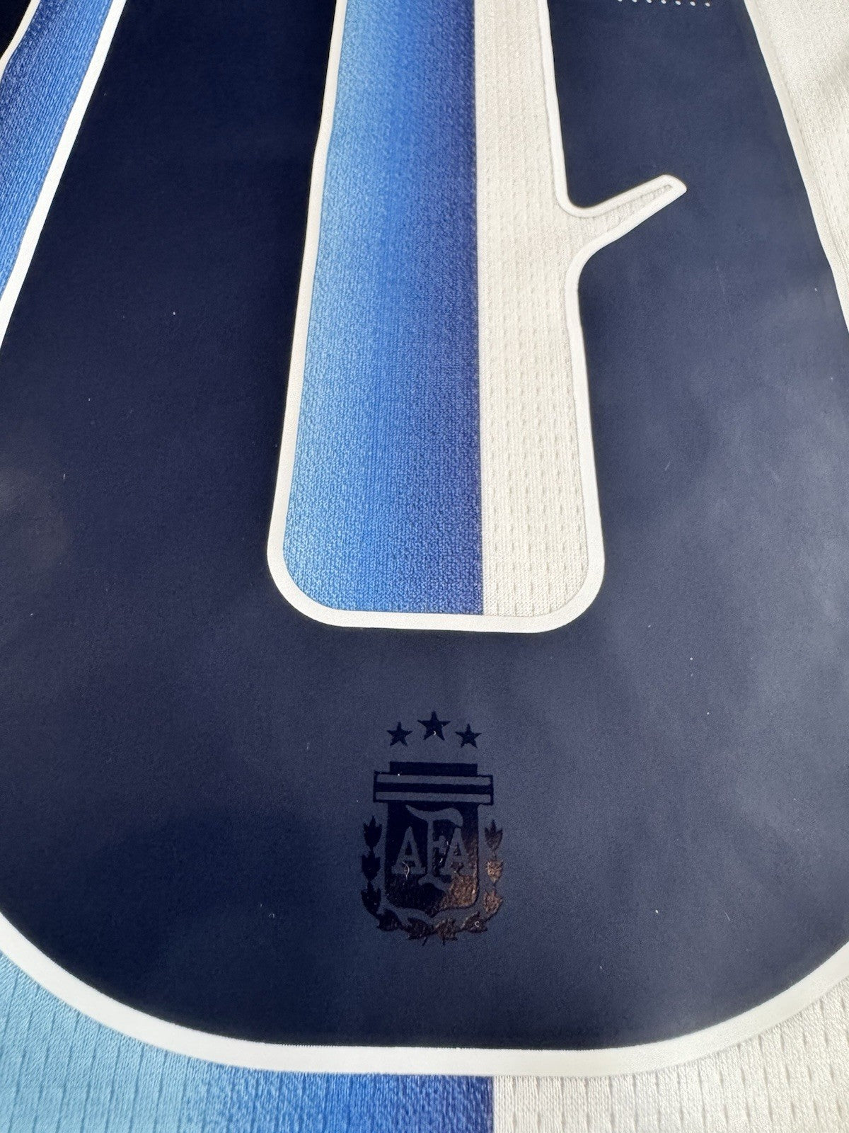 Argentina Lionel Messi FAN Version Match Detail vs Egypt Jersey Size L NWT