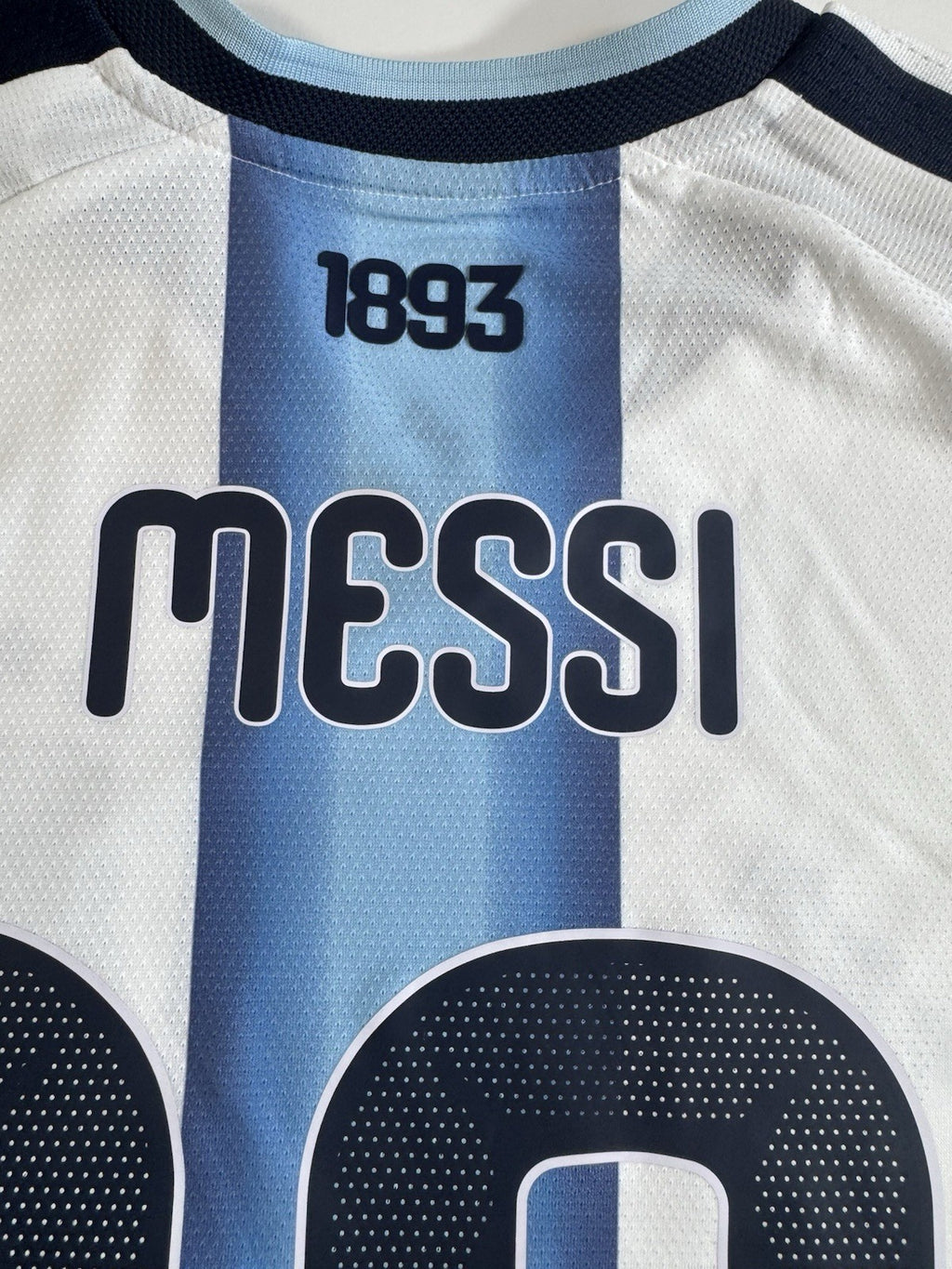 Argentina Lionel Messi Player Version Match Detail vs Egypt Jersey Size L NWT