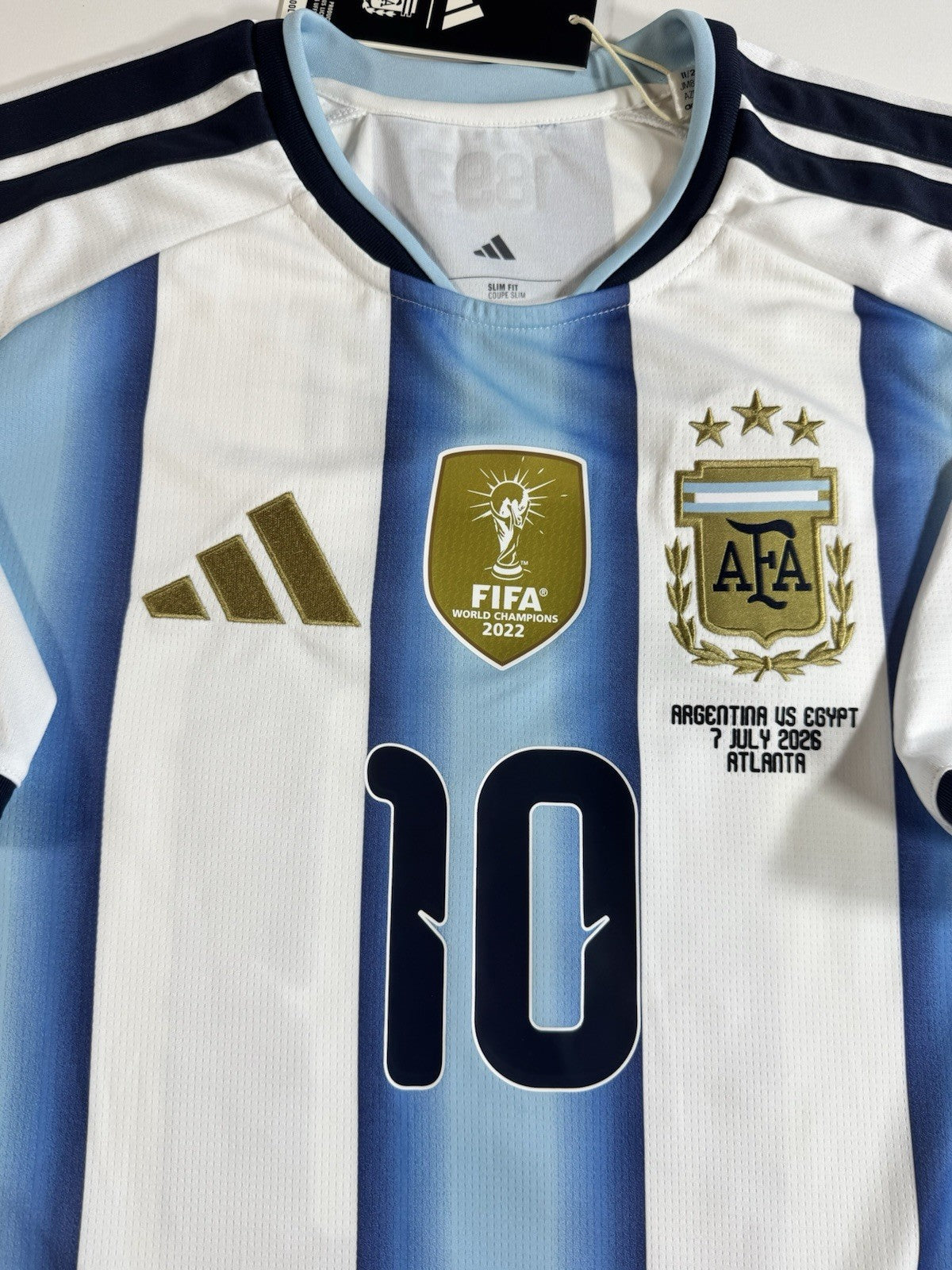 Argentina Lionel Messi FAN Version Match Detail vs Egypt Jersey Size L NWT