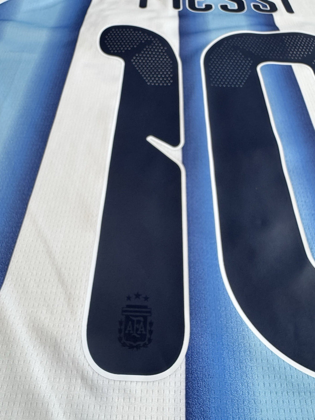 Argentina Lionel Messi FAN Version Match Detail vs Egypt Jersey Size L NWT