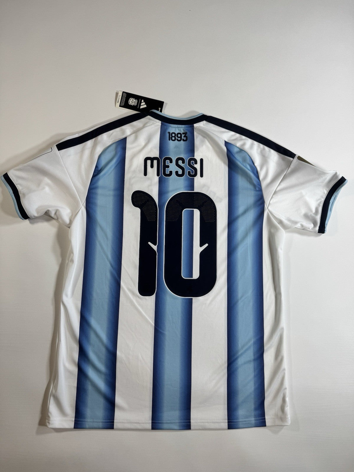 Argentina Lionel Messi FAN Version Match Detail vs Egypt Jersey Size L NWT