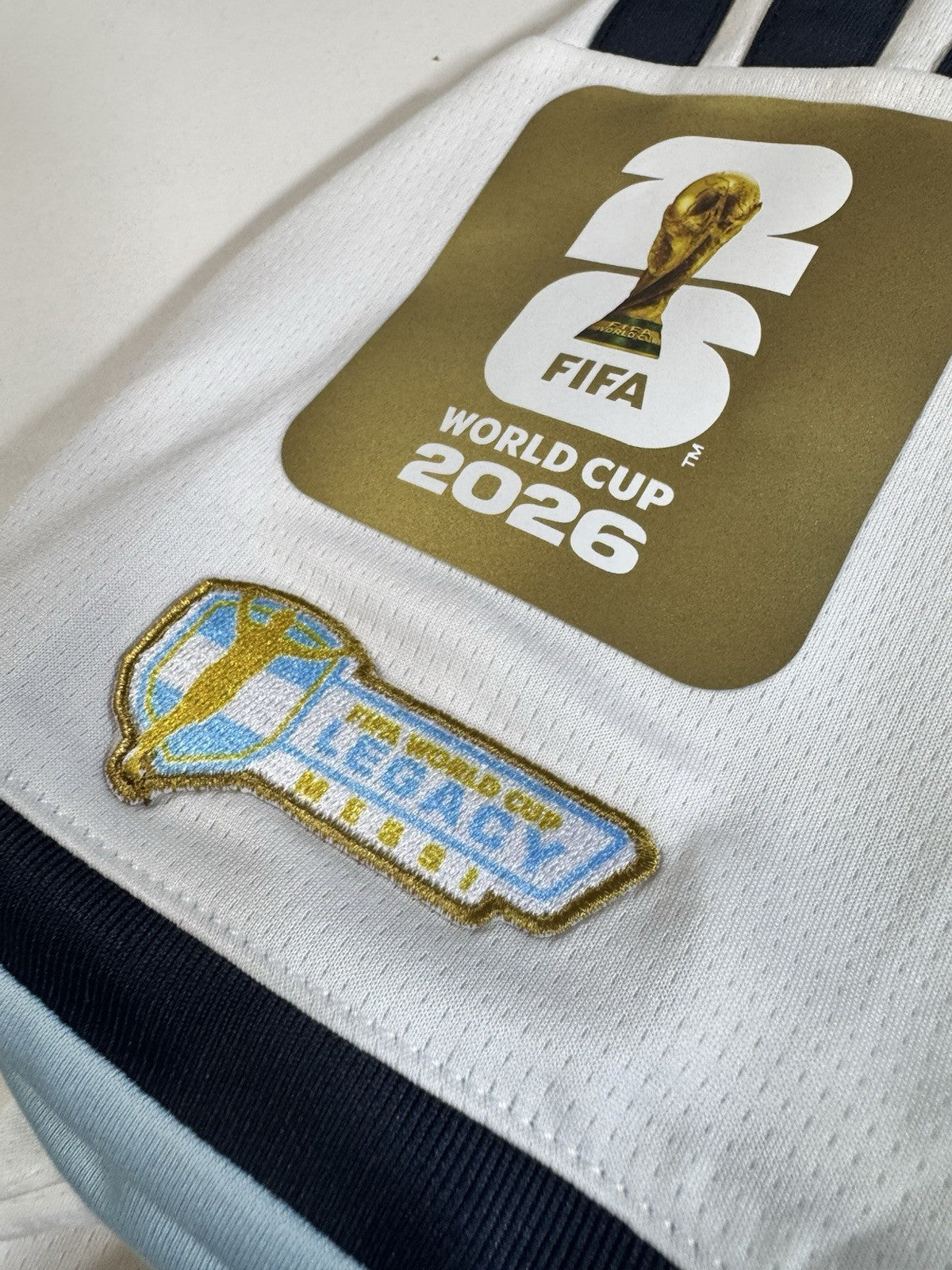 Argentina Lionel Messi FAN Version Match Detail vs Egypt Jersey Size L NWT
