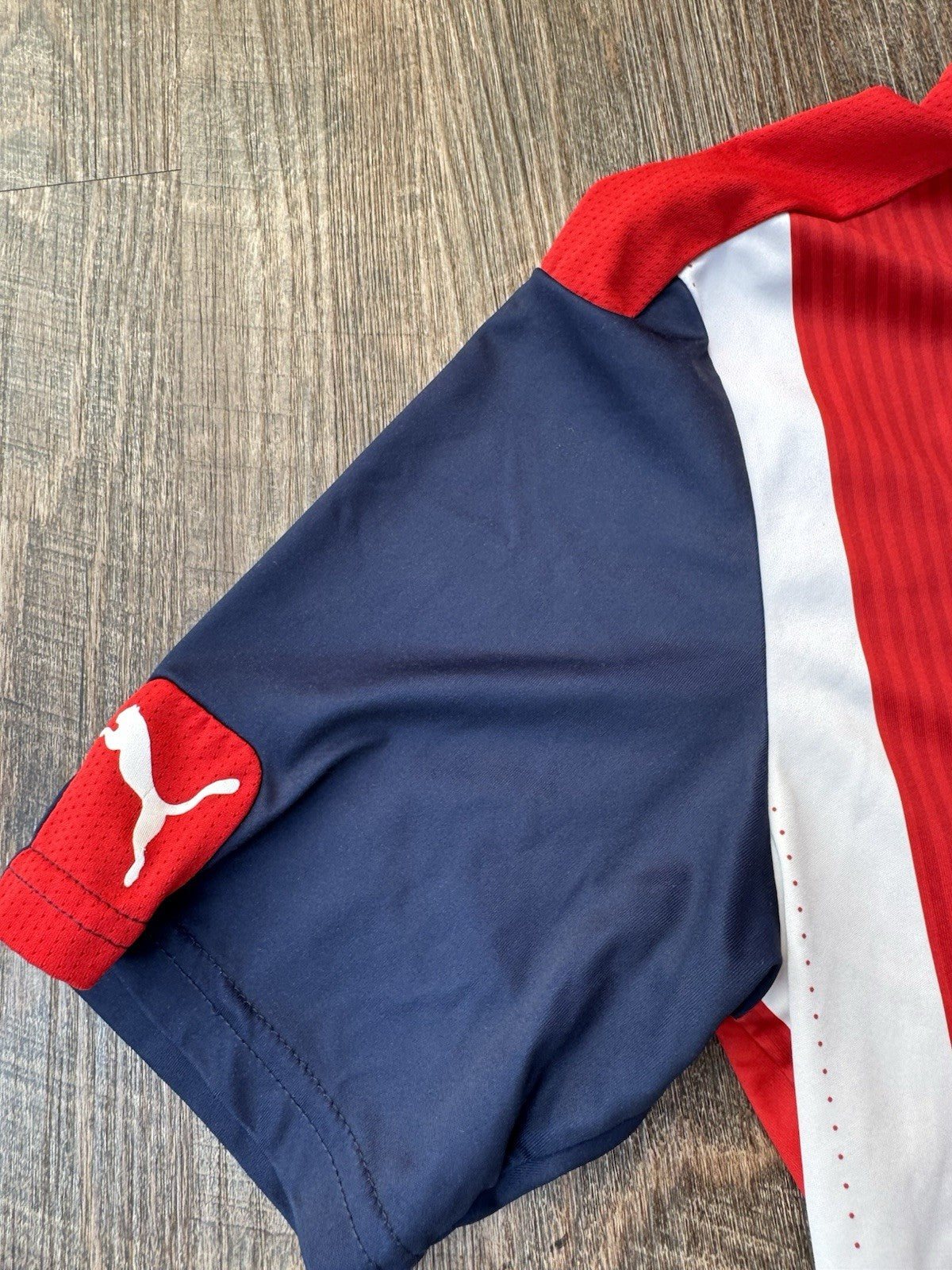 Alan Pulido Chivas 2017 Home Jersey M | Puma Liga MX Champion Vintage