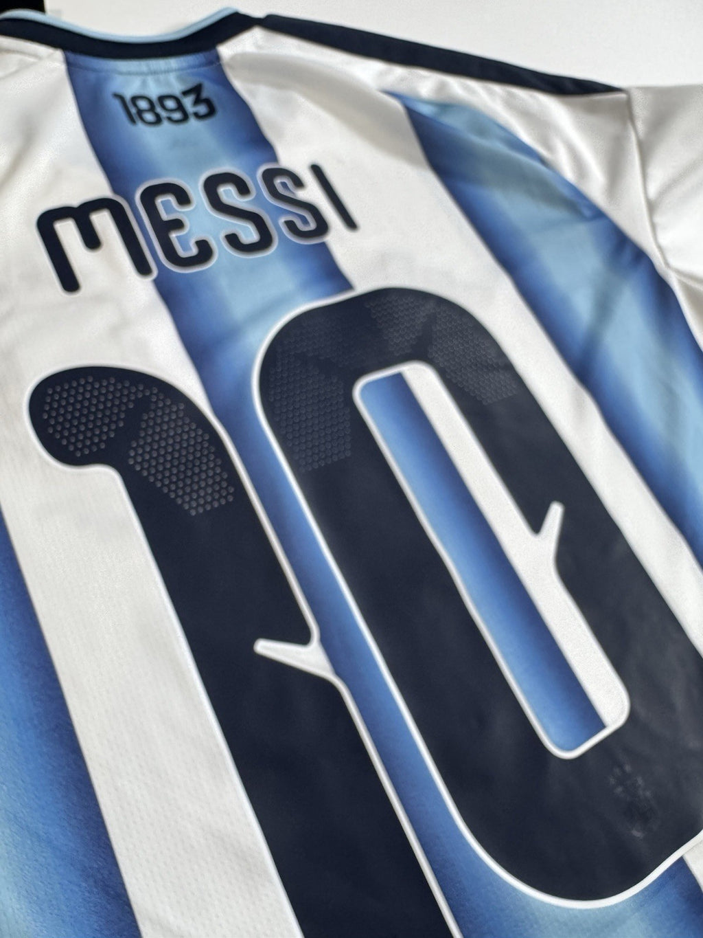 Argentina Lionel Messi FAN Version Match Detail vs Egypt Jersey Size L NWT