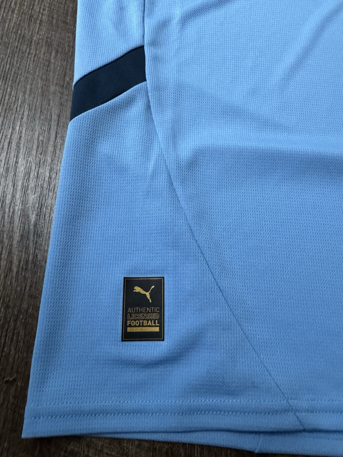 Manchester City 2024 - 25 Home Jersey Sz M NWT | Puma EPL Football Soccer Shirt